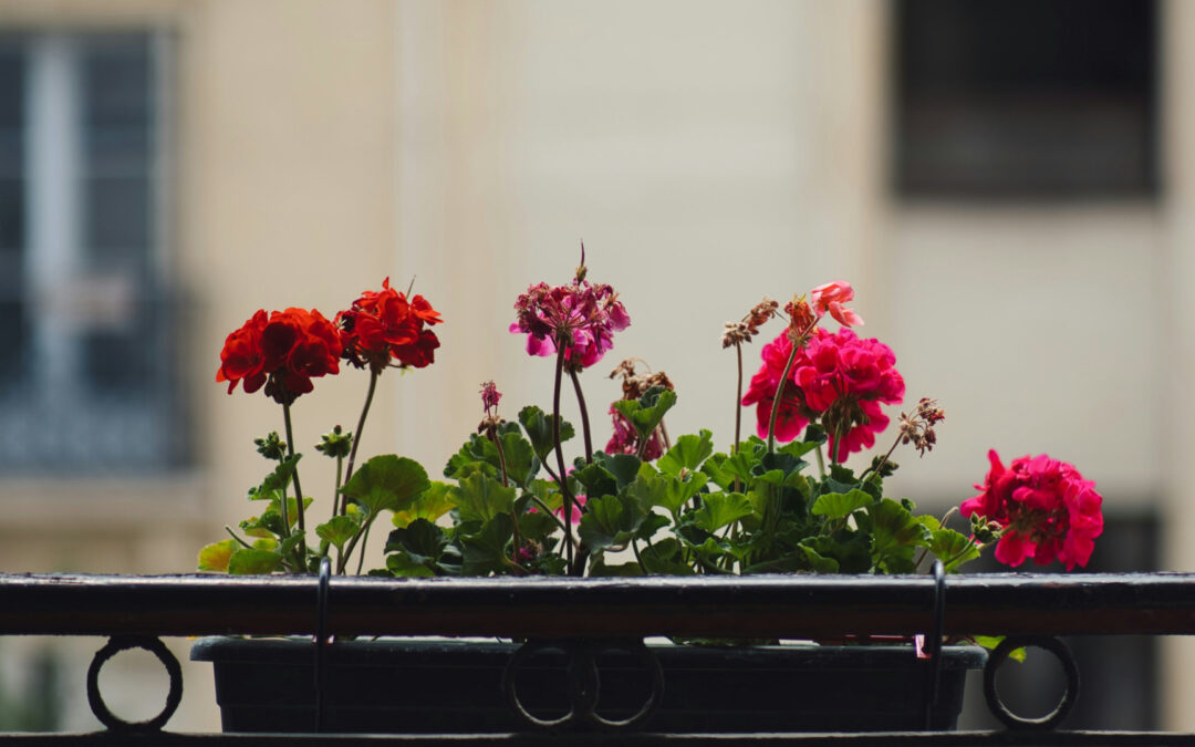 Nos astuces pour aménager votre balcon en milieu urbain