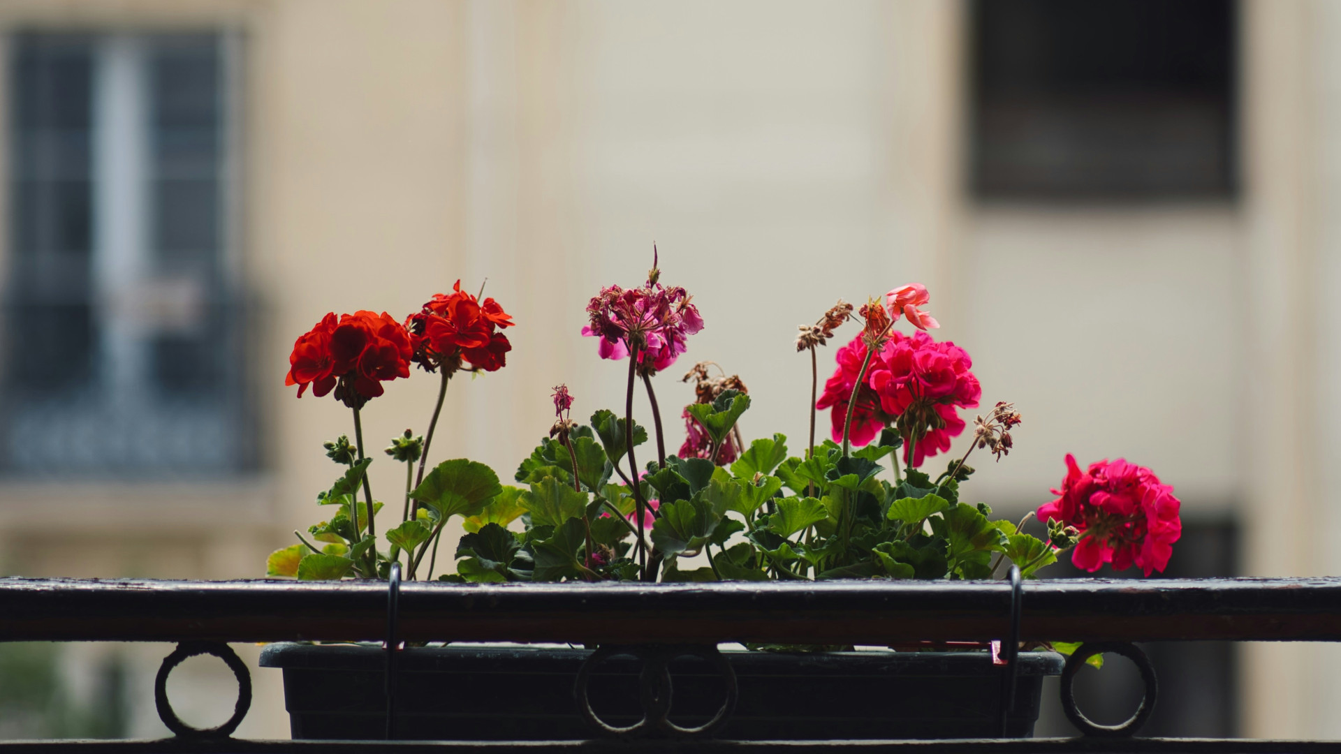 Nos astuces pour aménager votre balcon en milieu urbain
